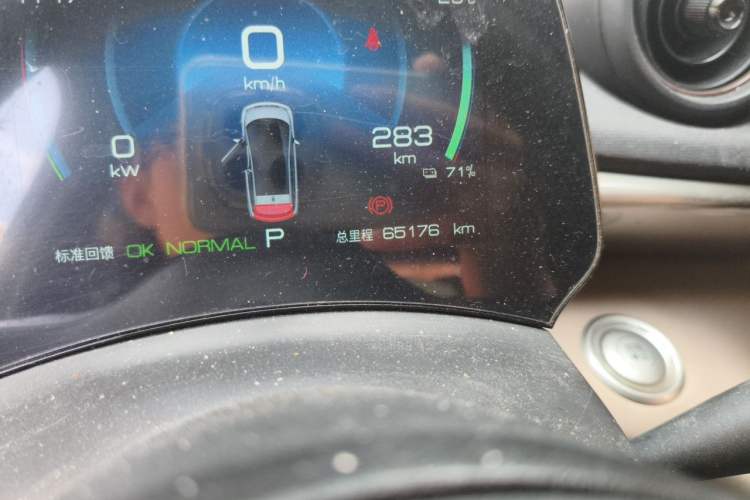 Used BYD Dolphin 2023 420 km Free Version Odometer Close Up