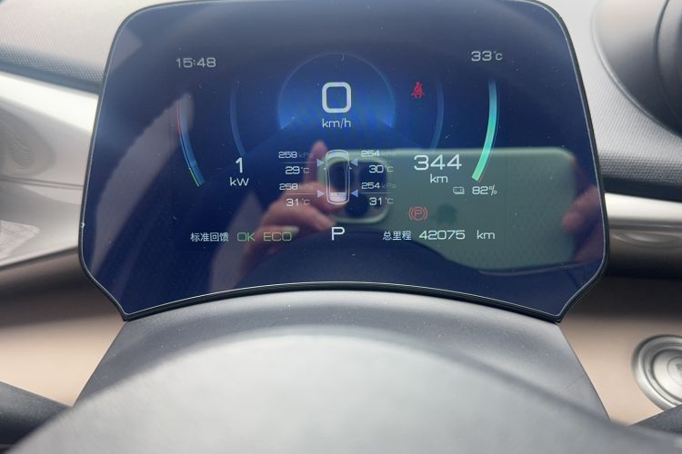 Used BYD Dolphin 2023 420 km Fashion Edition Odometer Close Up
