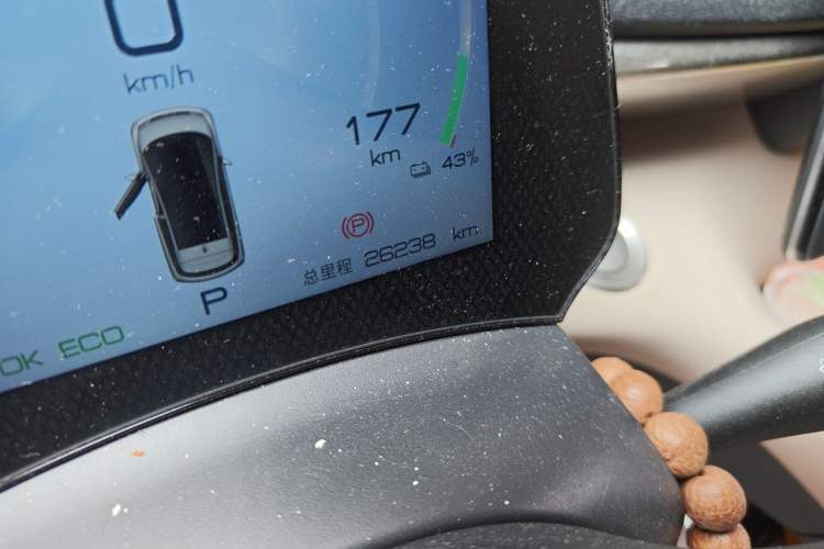 Used BYD Dolphin 2023 420 km Fashion Edition Odometer Close Up