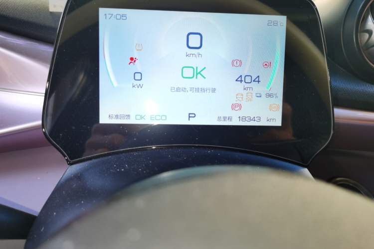 Used BYD Dolphin 2023 420 km Fashion Edition Odometer Close Up