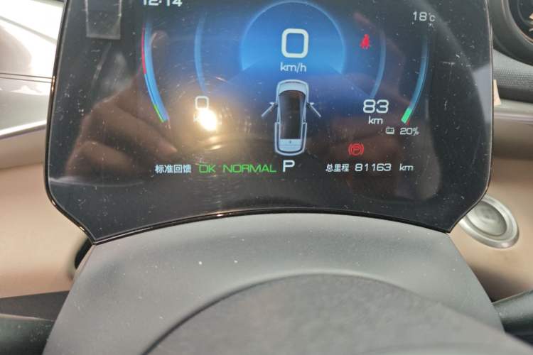 Used BYD Dolphin 2023 420 km Fashion Edition Odometer Close Up