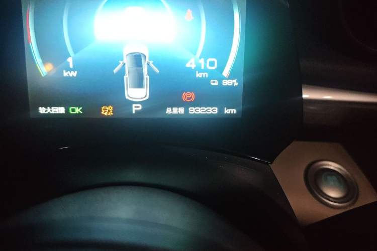 Used BYD Dolphin 2023 420 km Free Version Odometer Close Up
