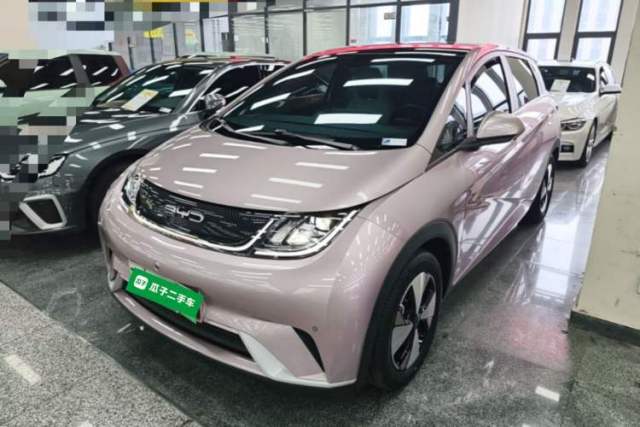 Used BYD Dolphin 2023 420 km Free Version