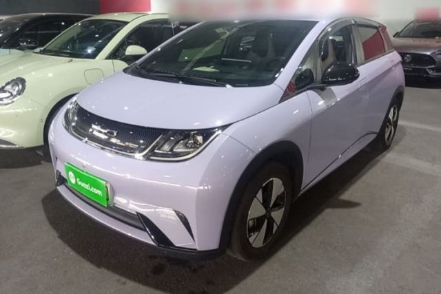 Used BYD Dolphin 2023 420 km Free Version