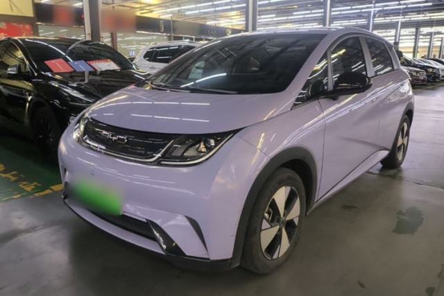 Used BYD Dolphin 2023 420 km Free Version