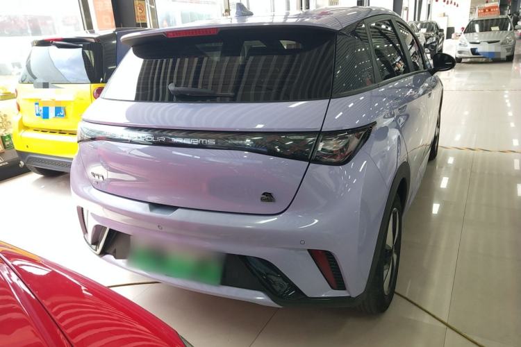 Used BYD Dolphin 2023 420 km Free Version Rear