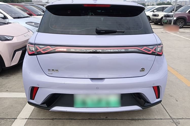 Used BYD Dolphin 2023 420 km Fashion Edition Rear