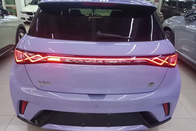 Used BYD Dolphin 2023 420 km Fashion Edition Rear