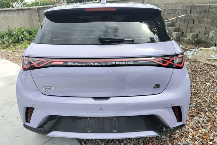 Used BYD Dolphin 2023 420 km Free Version Rear