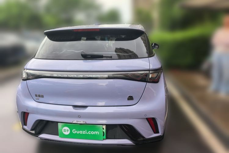 Used BYD Dolphin 2023 420 km Fashion Edition Rear