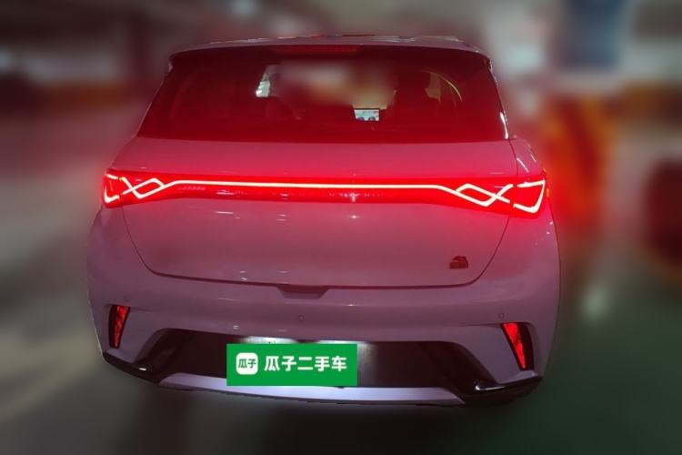 Used BYD Dolphin 2023 420 km Free Version Rear