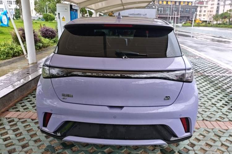 Used BYD Dolphin 2023 420 km Fashion Edition Rear