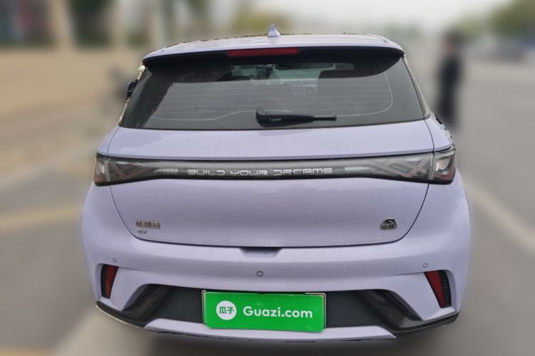 Used BYD Dolphin 2023 420 km Fashion Edition Rear