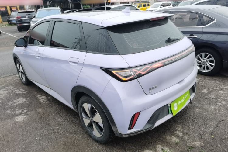 Used BYD Dolphin 2023 420 km Fashion Edition Rear Left 45 Deg