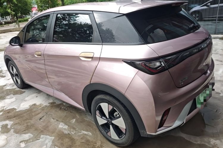 Used BYD Dolphin 2023 420 km Free Version Rear Left 45 Deg