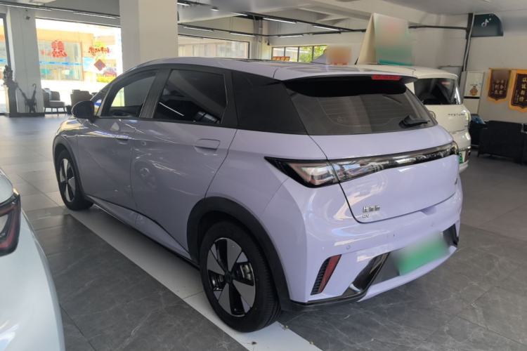 Used BYD Dolphin 2023 420 km Fashion Edition Rear Left 45 Deg