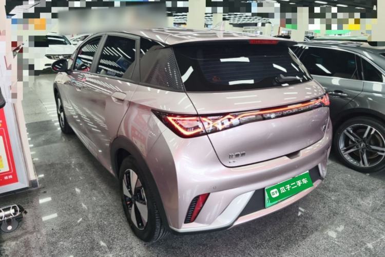 Used BYD Dolphin 2023 420 km Free Version Rear Left 45 Deg