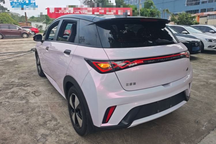 Used BYD Dolphin 2023 420 km Fashion Edition Rear Left 45 Deg