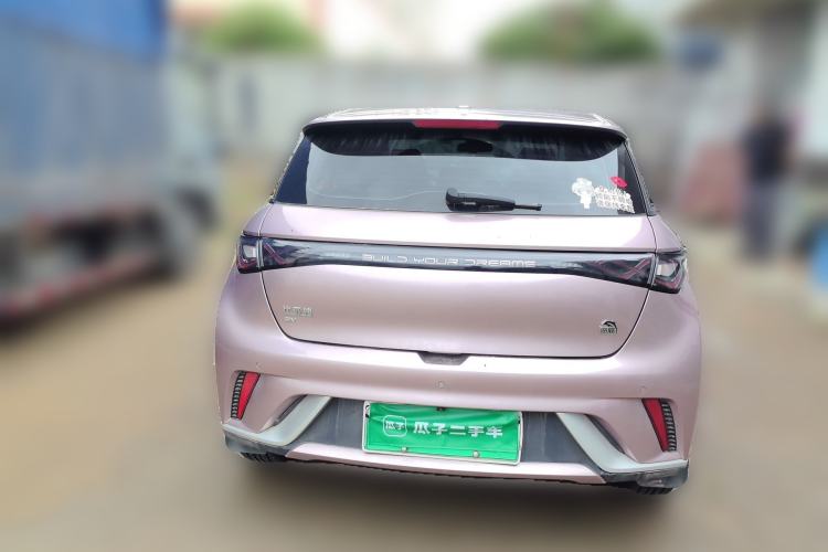 Used BYD Dolphin 2023 420 km Fashion Edition Rear