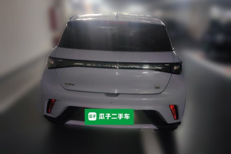 Used BYD Dolphin 2023 420 km Fashion Edition Rear