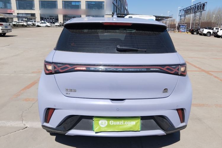 Used BYD Dolphin 2023 420 km Free Version Rear