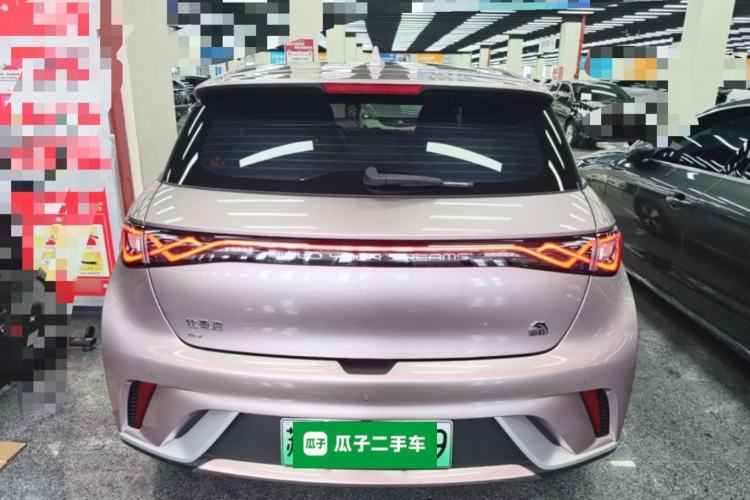 Used BYD Dolphin 2023 420 km Free Version Rear