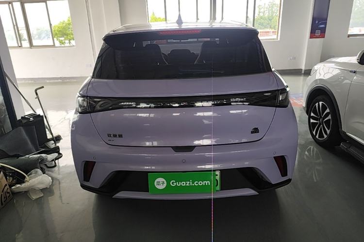 Used BYD Dolphin 2023 420 km Fashion Edition Rear