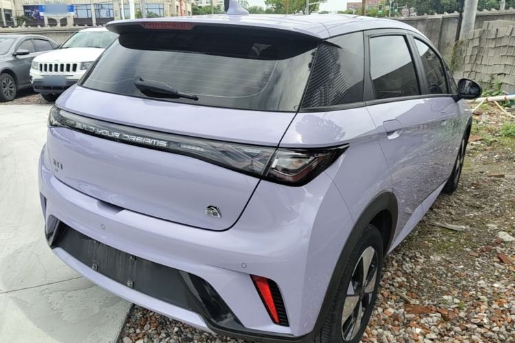 Used BYD Dolphin 2023 420 km Free Version Rear Right 45 Deg