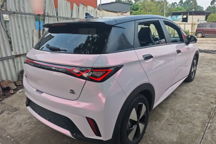 Used BYD Dolphin 2023 420 km Fashion Edition Rear Right 45 Deg