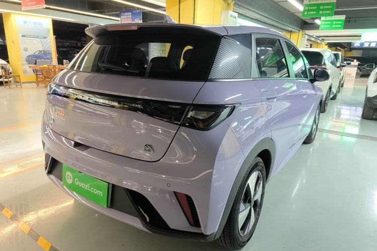 Used BYD Dolphin 2023 420 km Free Version Rear Right 45 Deg