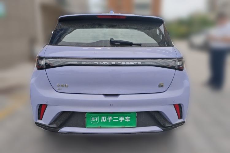 Used BYD Dolphin 2023 420 km Fashion Edition Rear