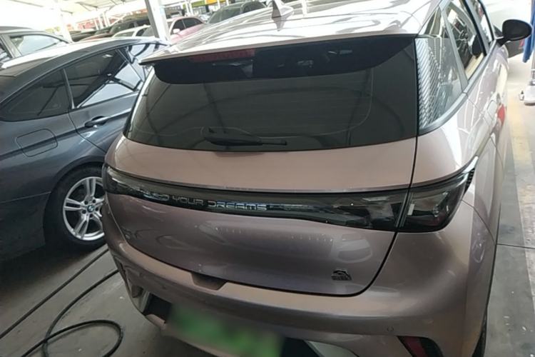 Used BYD Dolphin 2023 420 km Fashion Edition Rear