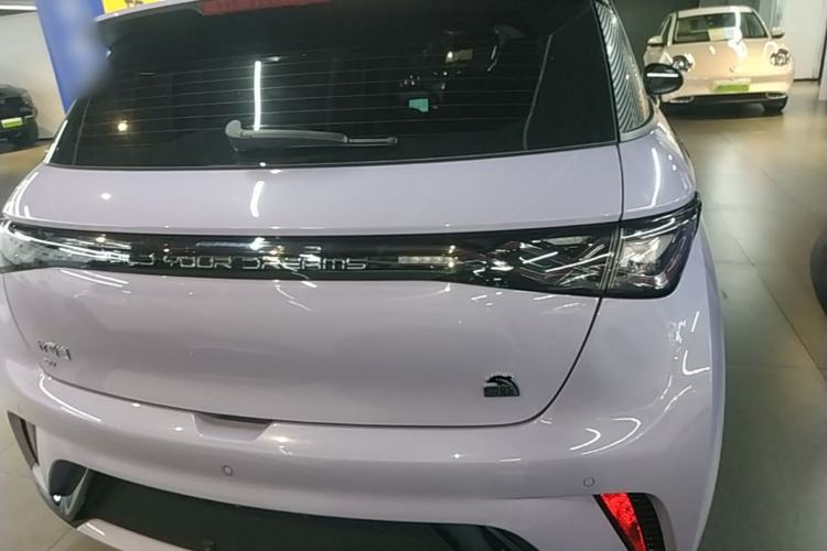 Used BYD Dolphin 2023 420 km Fashion Edition Rear