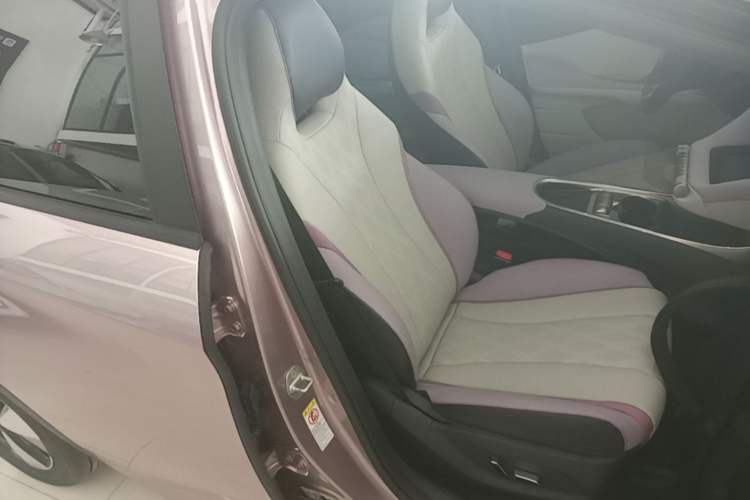 Used BYD Dolphin 2023 420 km Fashion Edition Right Front Seat