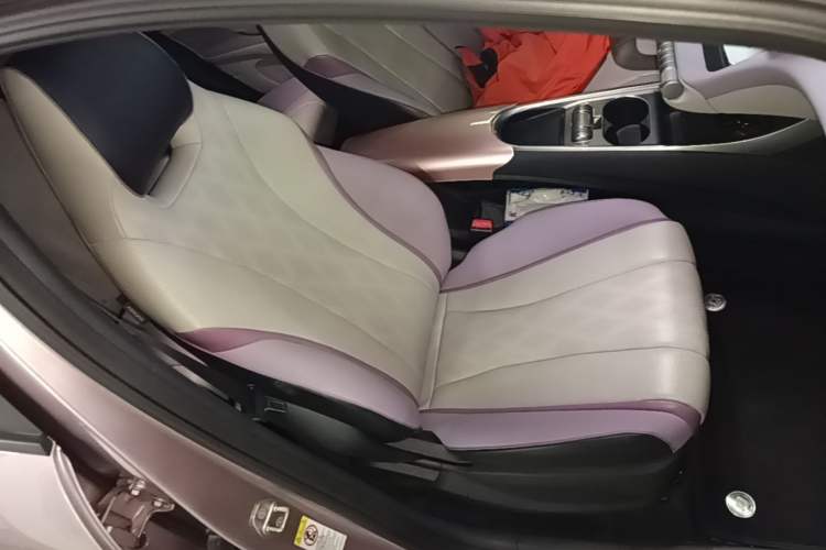 Used BYD Dolphin 2023 420 km Free Version Right Front Seat