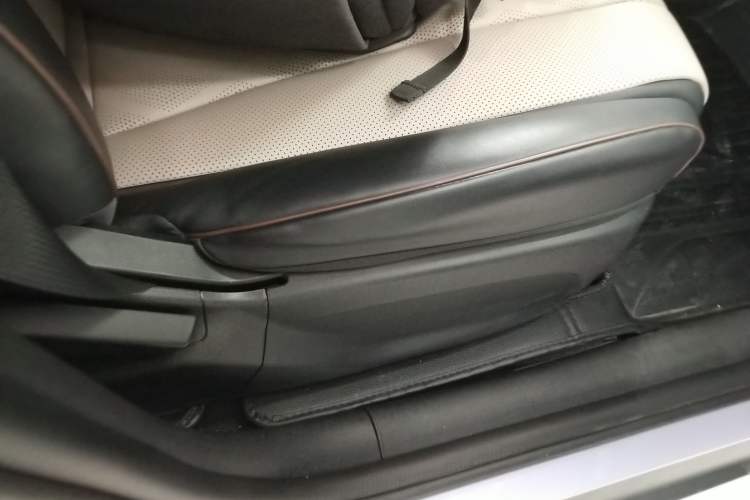 Used BYD Dolphin 2023 420 km Free Version Right Front Seat