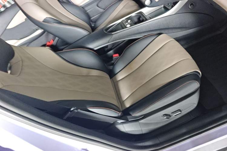 Used BYD Dolphin 2023 420 km Fashion Edition Right Front Seat