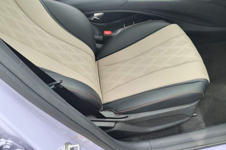 Used BYD Dolphin 2023 420 km Free Version Right Front Seat