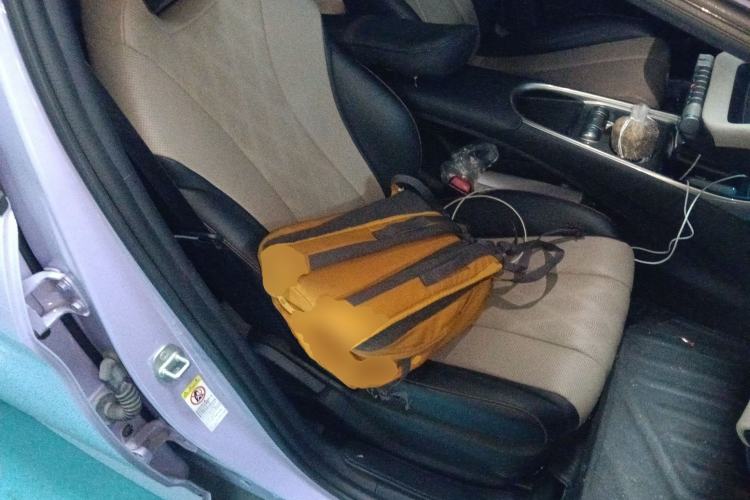 Used BYD Dolphin 2023 420 km Free Version Right Front Seat