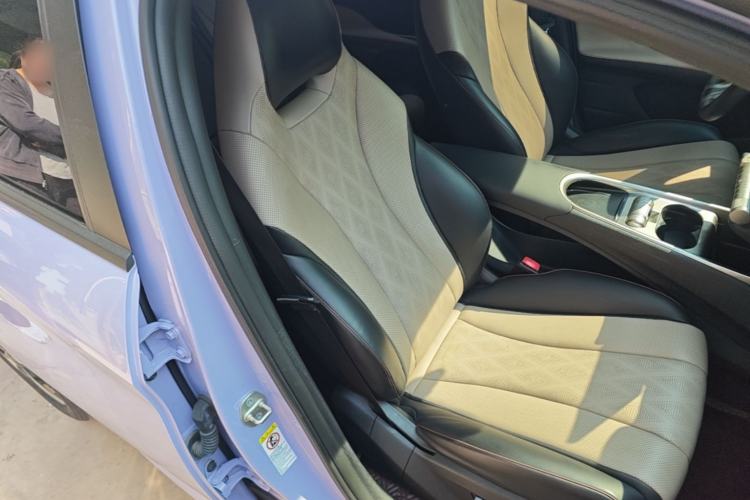 Used BYD Dolphin 2023 420 km Fashion Edition Right Front Seat