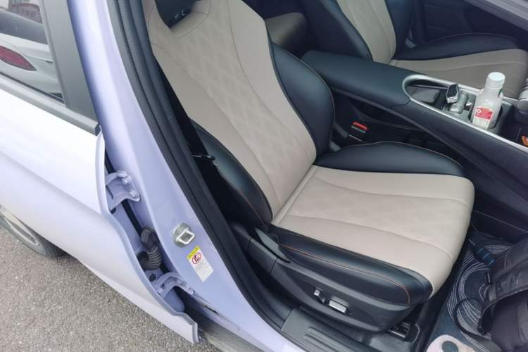 Used BYD Dolphin 2023 420 km Fashion Edition Right Front Seat