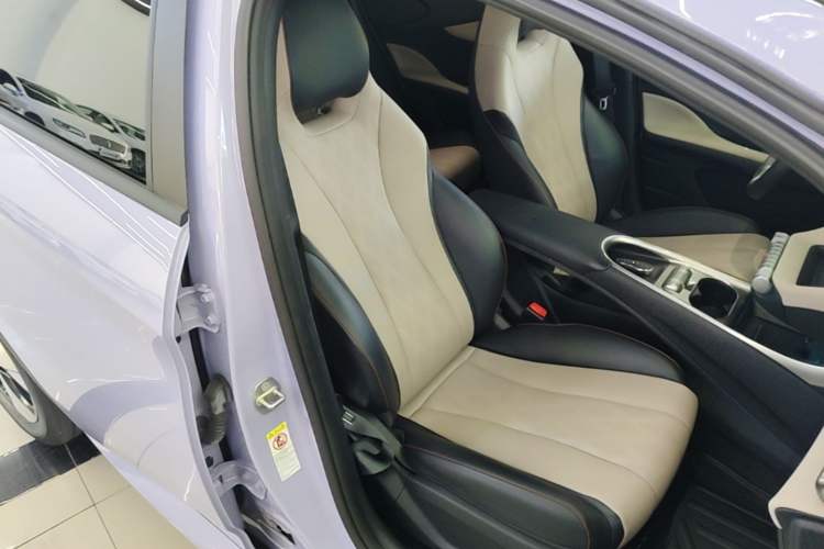 Used BYD Dolphin 2023 420 km Free Version Right Front Seat