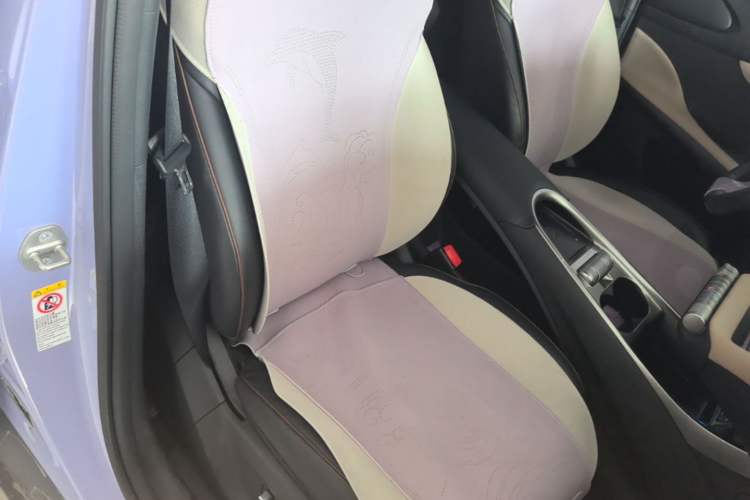Used BYD Dolphin 2023 420 km Fashion Edition Right Front Seat