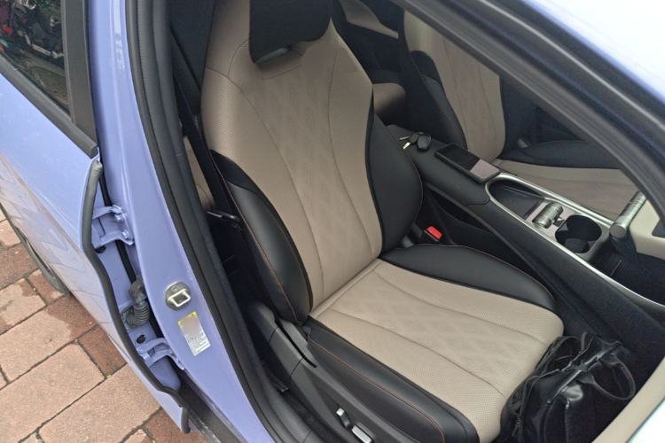 Used BYD Dolphin 2023 420 km Fashion Edition Right Front Seat