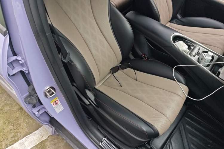 Used BYD Dolphin 2023 420 km Free Version Right Front Seat