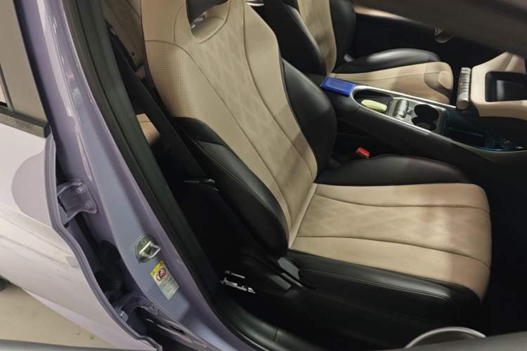 Used BYD Dolphin 2023 420 km Free Version Right Front Seat