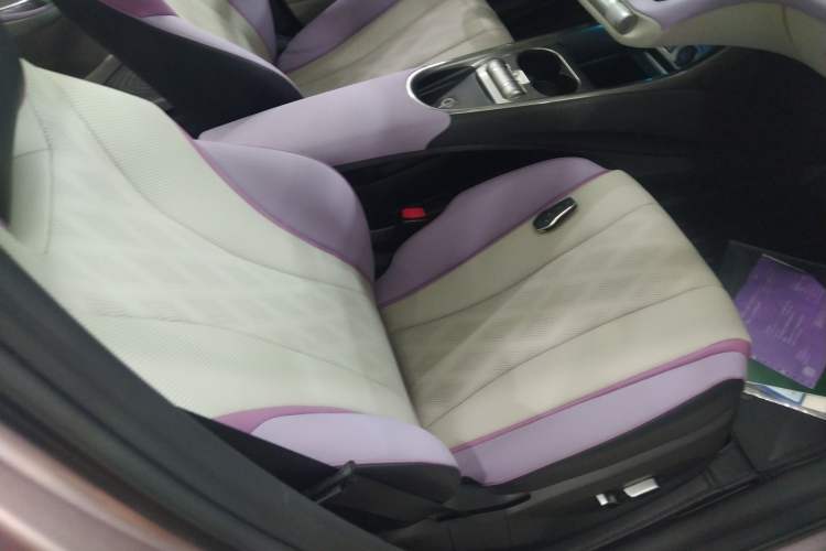 Used BYD Dolphin 2023 420 km Fashion Edition Right Front Seat