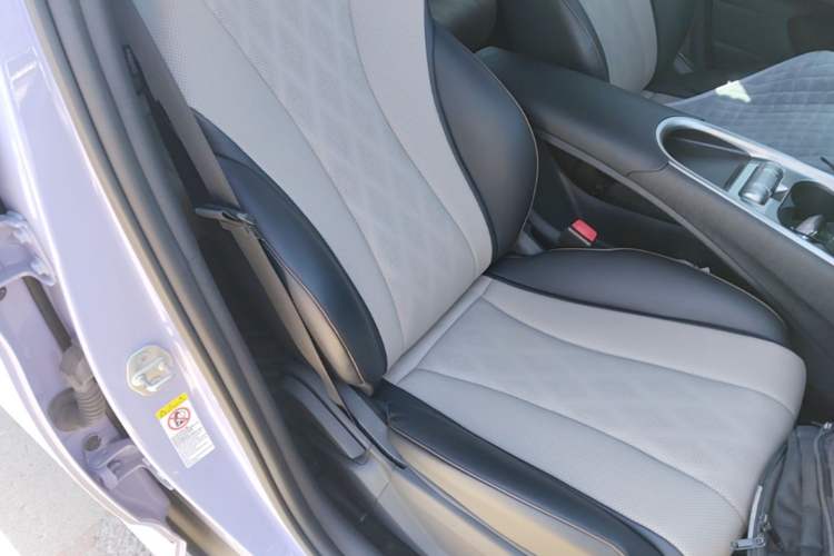 Used BYD Dolphin 2023 420 km Free Version Right Front Seat