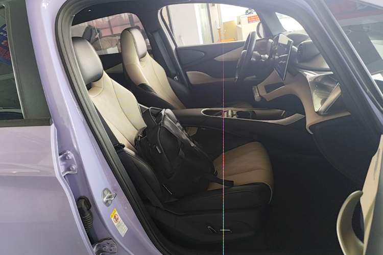 Used BYD Dolphin 2023 420 km Fashion Edition Right Front Seat