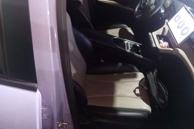 Used BYD Dolphin 2023 420 km Free Version Right Front Seat